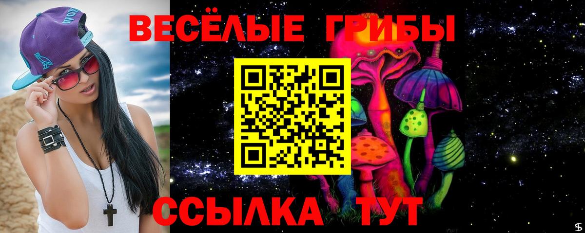 Соль-Илецк  Галлюциногенные грибы Psilocybe  Вход с VPN 