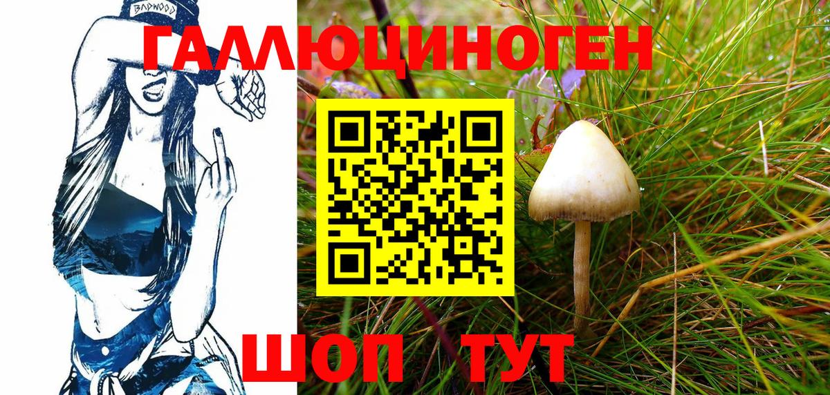 Галлюциногенные грибы Cubensis Соль-Илецк